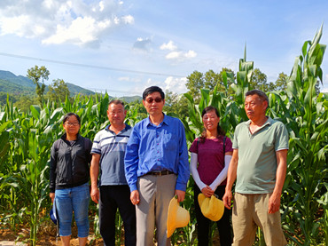 中国农业大学植保专家范在丰教授到凉山开展玉米病虫害调查(图文)