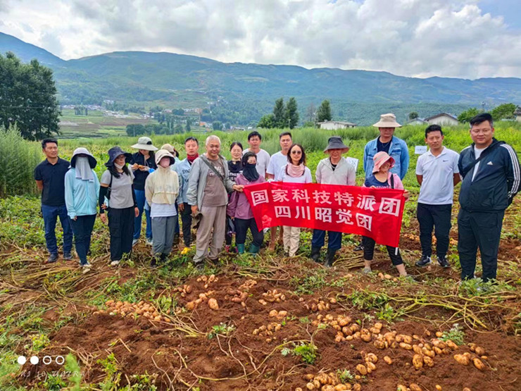 国家燕麦荞麦产业体系、国家马铃薯产业体系联合在昭觉县开展新品种新技术推介活动(图文)
