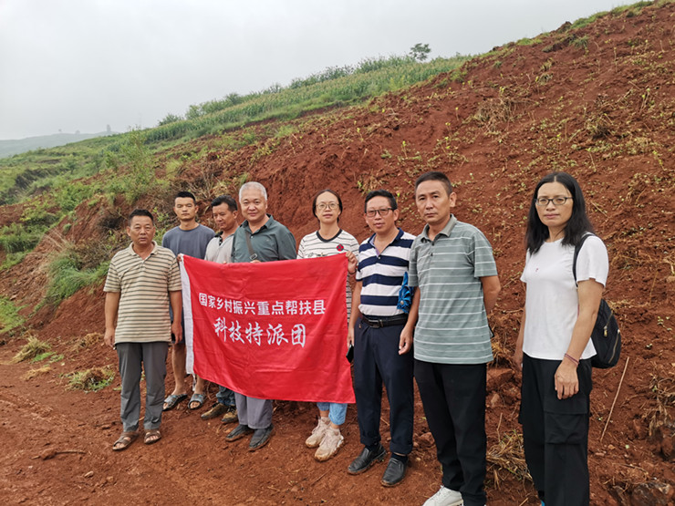 国家科技特派团荞麦产业组 赴普格开展科技帮扶工作(图文)