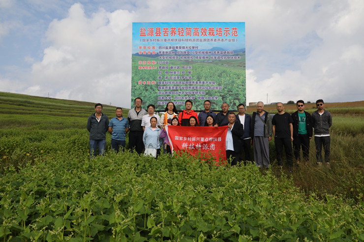 国家科技特派团荞麦产业组 在盐源开展全州荞麦主产县观摩、学习和培训活动(图文)