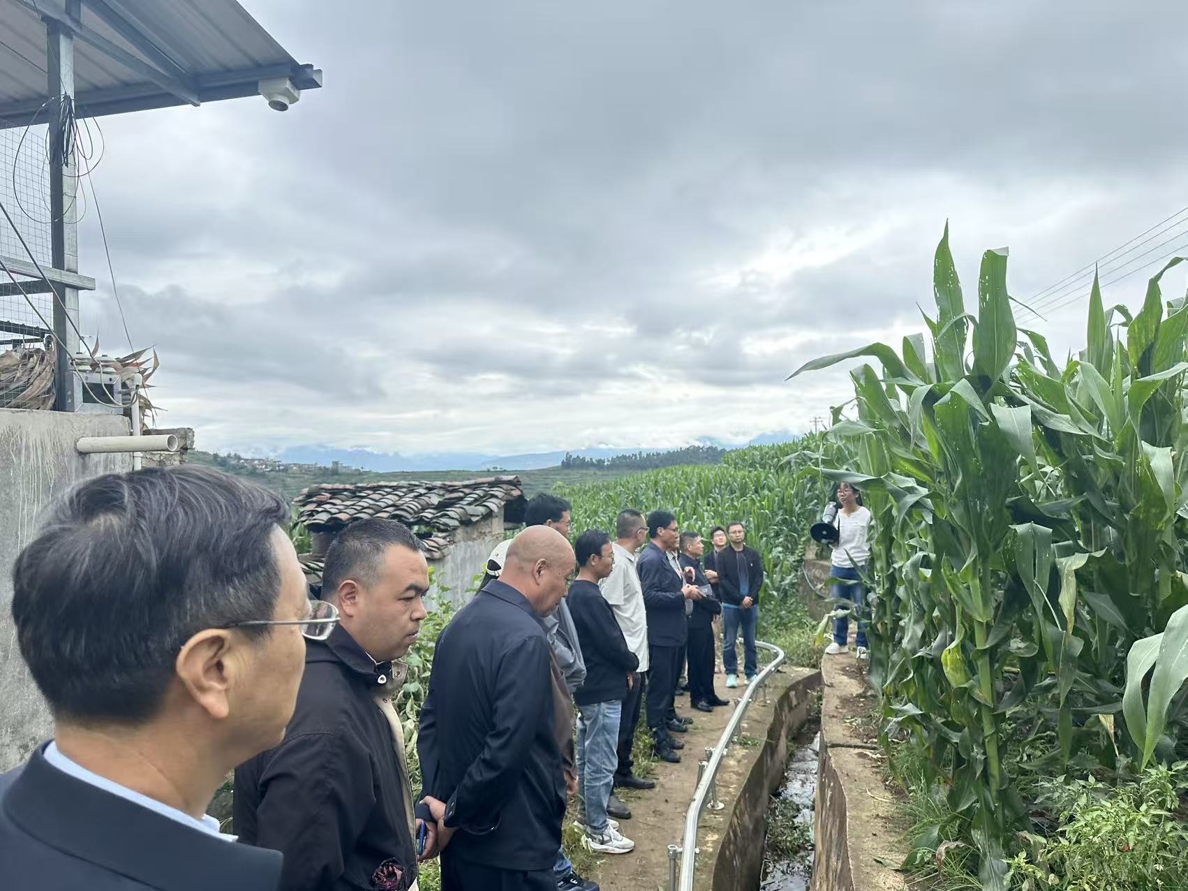 党建引领聚合力 粮烟融合促振兴  ——凉山州农科