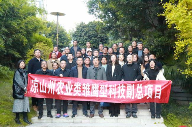 桑园冬管筑基，蚕病防控护航(图文)